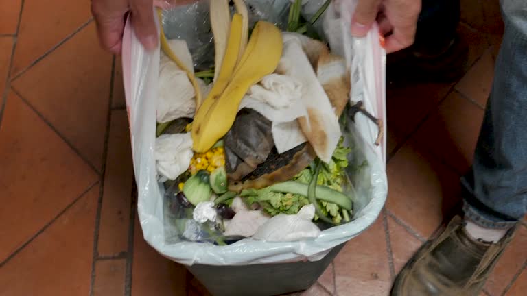 Professional Junk Removal Services in Loretto, TN